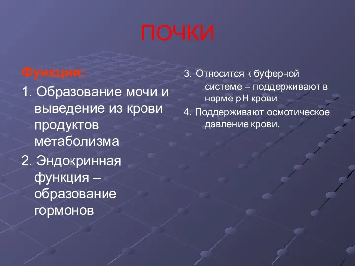 ПОЧКИ Функции: 1. Образование мочи и выведение из крови продуктов