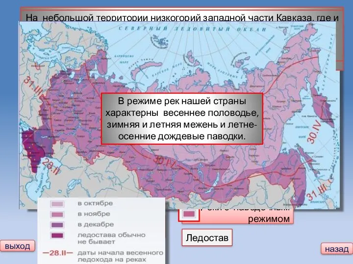 Для режима большинства равнинных рек России характерно весеннее половодье, летом