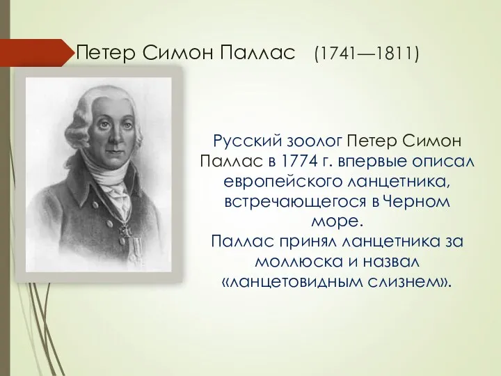 Петер Симон Паллас (1741—1811) Русский зоолог Петер Симон Паллас в 1774 г. впервые