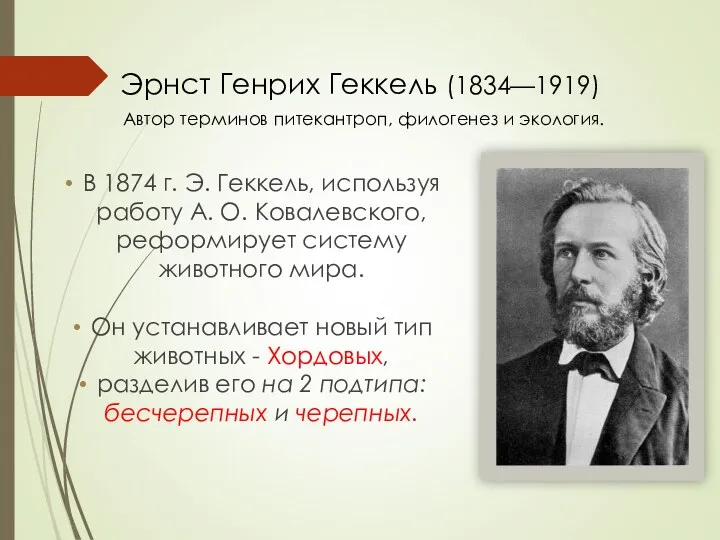 Эрнст Генрих Геккель (1834—1919) Автор терминов питекантроп, филогенез и экология. В 1874 г.