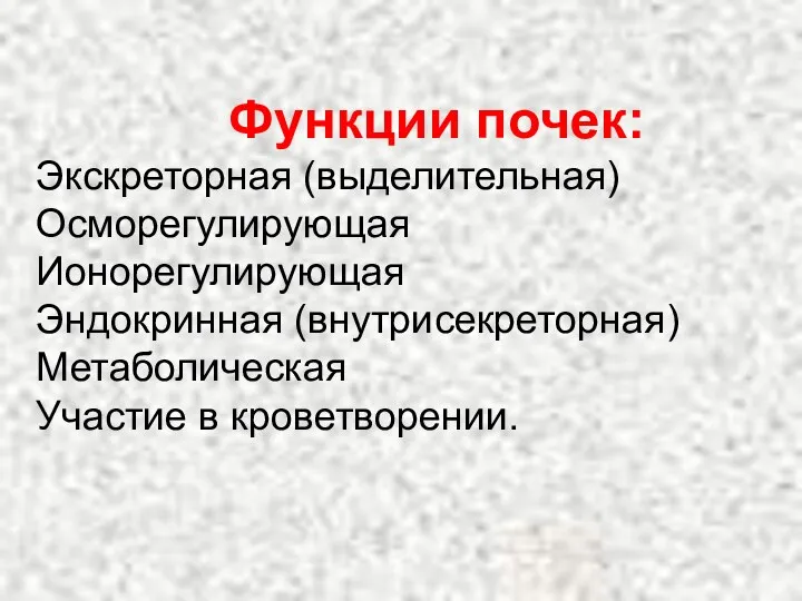 Функции почек: Экскреторная (выделительная) Осморегулирующая Ионорегулирующая Эндокринная (внутрисекреторная) Метаболическая Участие в кроветворении.