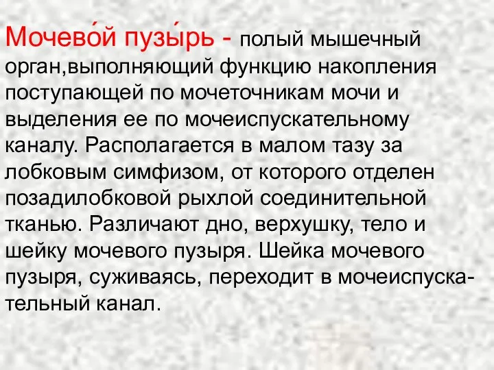 Мочево́й пузы́рь - полый мышечный орган,выполняющий функцию накопления поступающей по