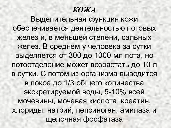 КОЖА Выделительная функция кожи обеспечивается деятельностью потовых желез и, в