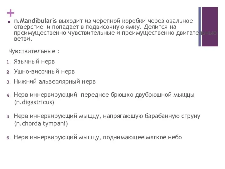 n.Mandibularis выходит из черепной коробки через овальное отверстие и попадает