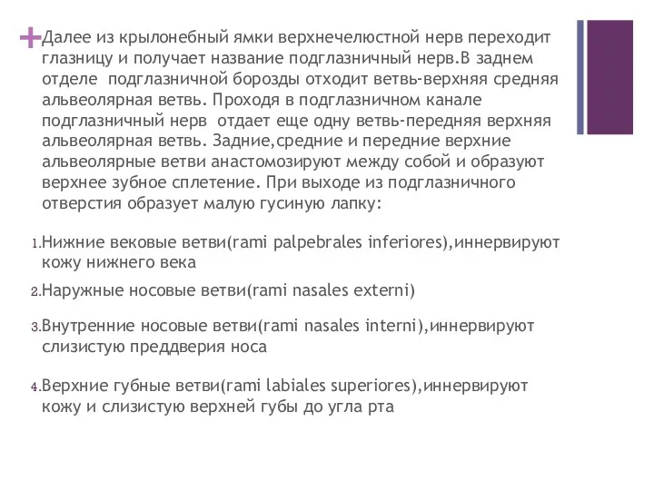 Далее из крылонебный ямки верхнечелюстной нерв переходит глазницу и получает