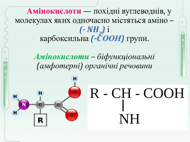 Амінокислоти — похідні вуглеводнів, у молекулах яких одночасно містяться аміно