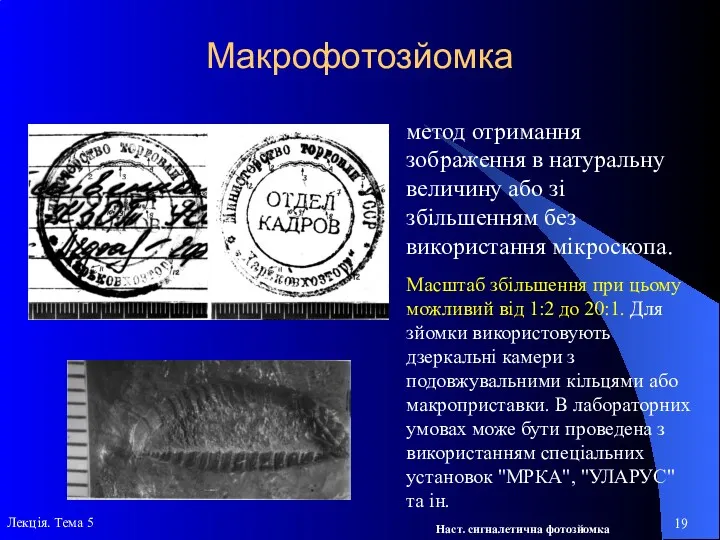 Макрофотозйомка метод отримання зображення в натуральну величину або зі збільшенням