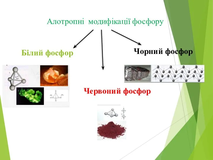 Алотропні модифікації фосфору Білий фосфор Червоний фосфор Чорний фосфор