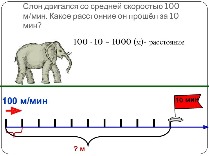 Слон двигался со средней скоростью 100 м/мин. Какое расстояние он