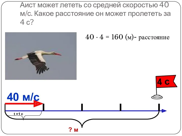 Аист может лететь со средней скоростью 40 м/с. Какое расстояние