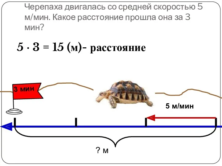 Черепаха двигалась со средней скоростью 5 м/мин. Какое расстояние прошла