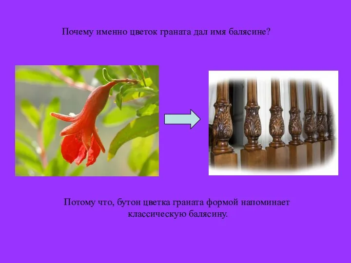 Потому что, бутон цветка граната формой напоминает классическую балясину. Почему именно цветок граната дал имя балясине?