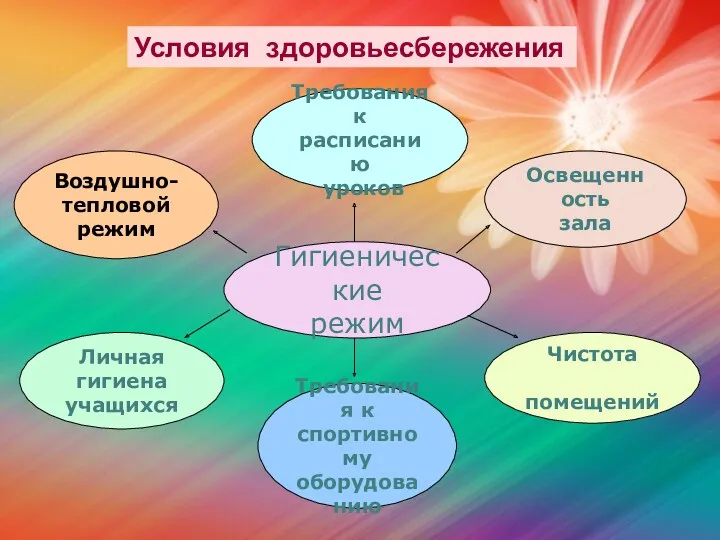 Условия здоровьесбережения Требования к расписанию уроков Воздушно- тепловой режим Личная