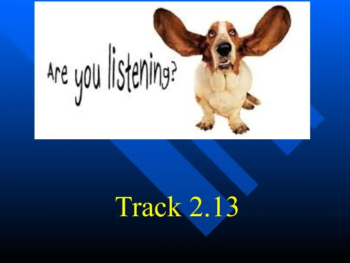 Track 2.13