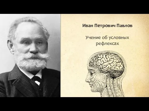Иван Петрович Павлов Учение об условных рефлексах
