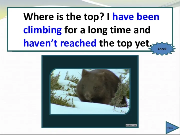 Where is the top? I (climb) for a long time and (not to