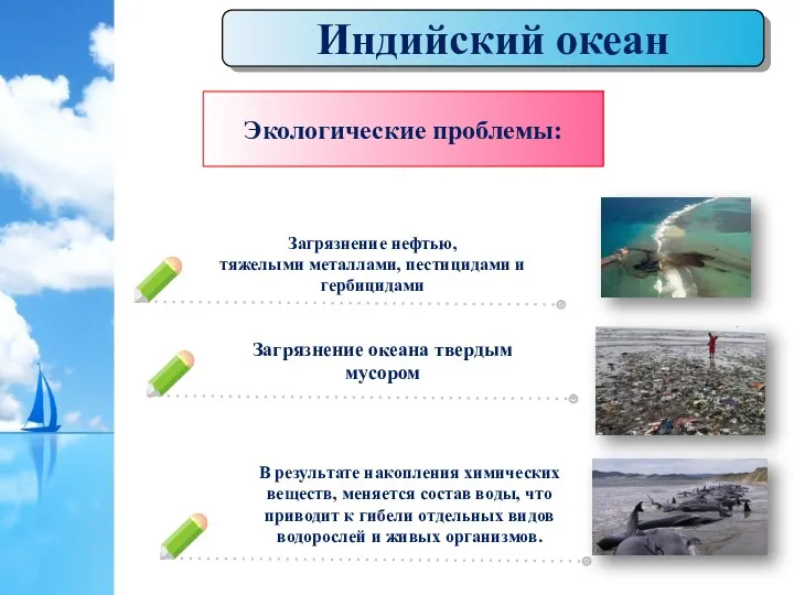 Индийский океан Экологические проблемы: Загрязнение нефтью, тяжелыми металлами, пестицидами и