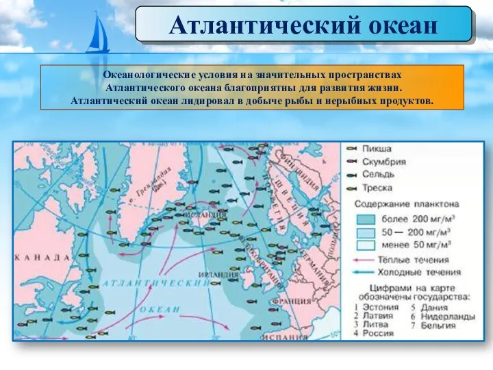 Атлантический океан Океанологические условия на значительных пространствах Атлантического океана благоприятны