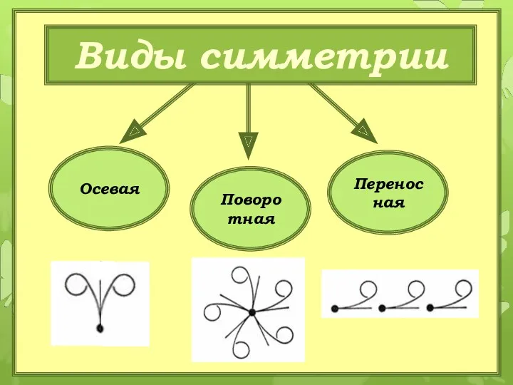 Осевая Поворотная Переносная Виды симметрии