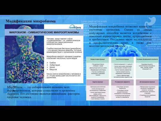 Модификация микробиома Микробиом — это собирательное название всех микроорганизмов, которые
