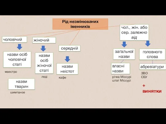 назви тварин назви осіб чоловічої статі назви осіб жіночої статі