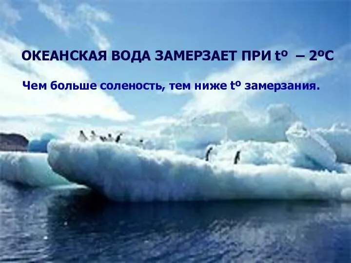 Чем больше соленость, тем ниже tº замерзания. ОКЕАНСКАЯ ВОДА ЗАМЕРЗАЕТ ПРИ tº – 2ºС