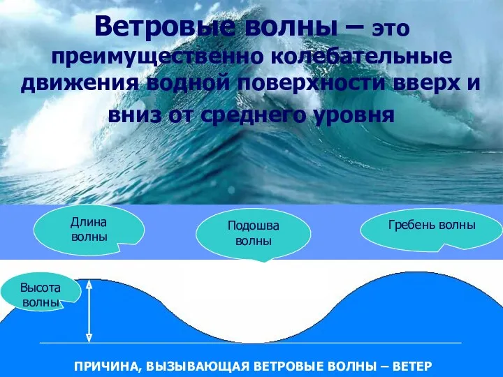 Ветровые волны – это преимущественно колебательные движения водной поверхности вверх