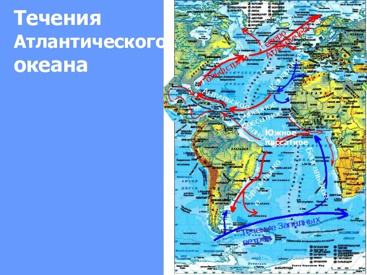 Течения Атлантического океана Северное пассатное Антильское Гольфстрим Северо-Атлантическое Канарское Гвианское