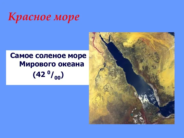 Красное море Самое соленое море Мирового океана (42 0/00)