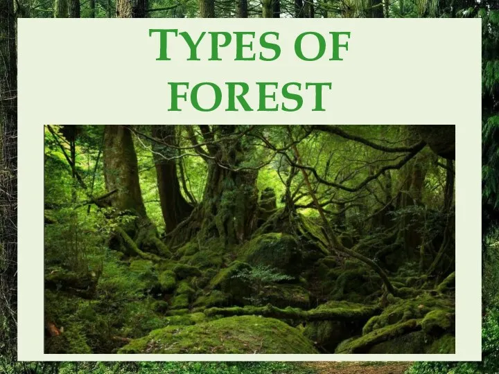 Types of forests