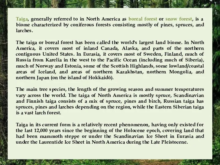 Taiga, generally referred to in North America as boreal forest