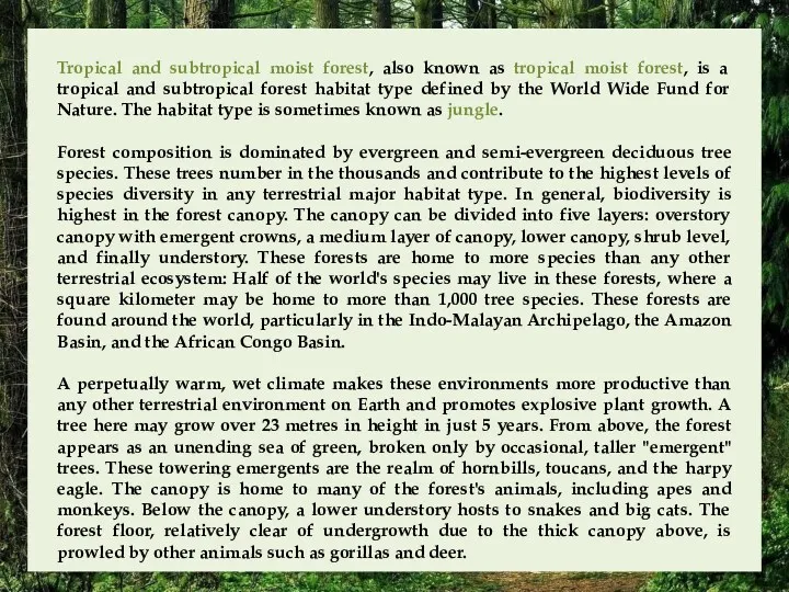 Tropical and subtropical moist forest, also known as tropical moist