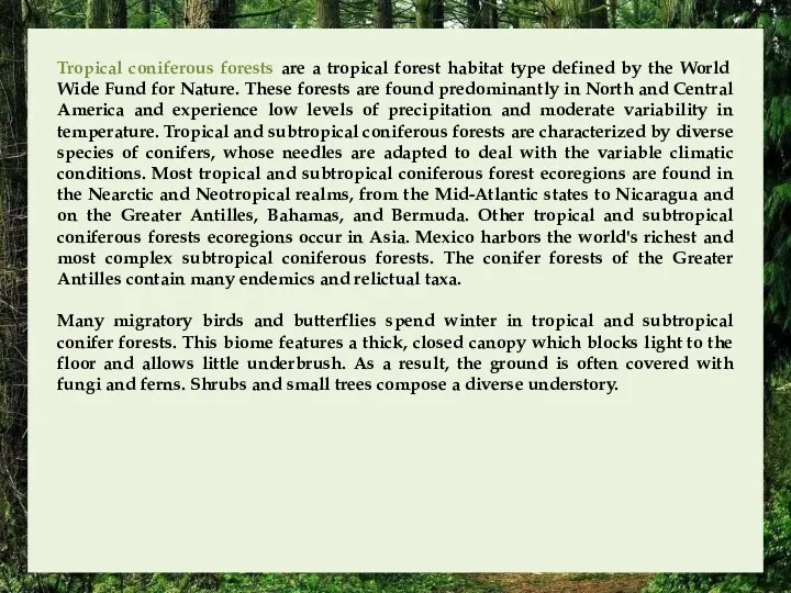 Tropical coniferous forests are a tropical forest habitat type defined