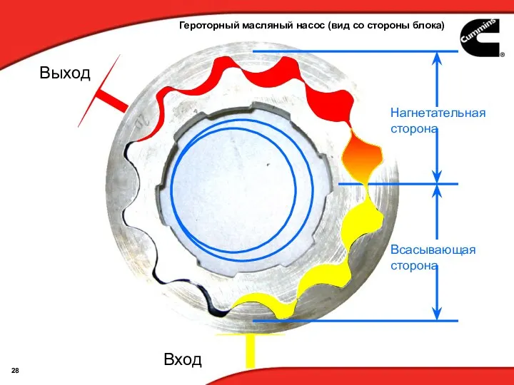 Вход Выход Героторный масляный насос (вид со стороны блока)