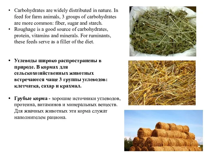 Carbohydrates are widely distributed in nature. In feed for farm