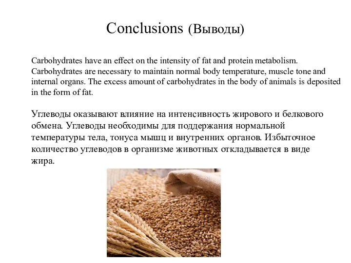 Conclusions (Выводы) Углеводы оказывают влияние на интенсивность жирового и белкового