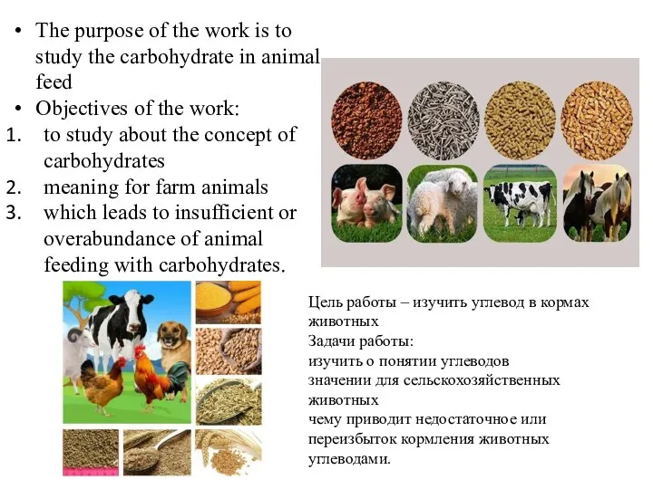 The purpose of the work is to study the carbohydrate