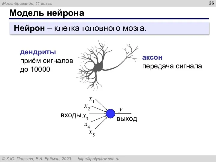 Модель нейрона дендриты приём сигналов до 10000 аксон передача сигнала Нейрон – клетка головного мозга.