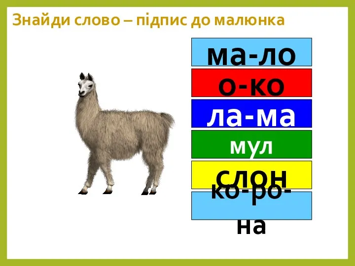 Знайди слово – підпис до малюнка ма-ло о-ко ла-ма мул слон ко-ро-на