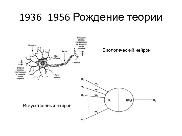 1936 -1956 Рождение теории Биологический нейрон Искусственный нейрон