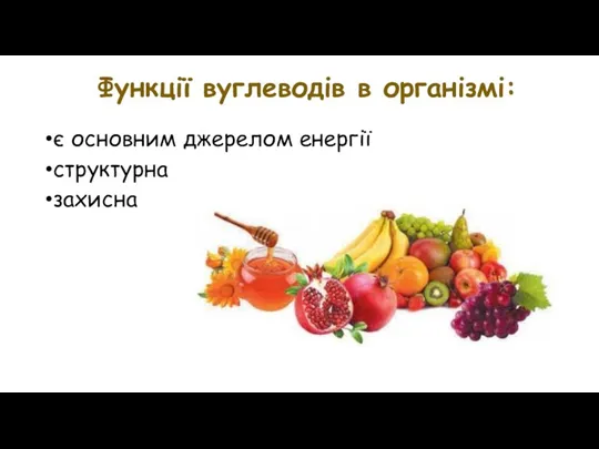 Функції вуглеводів в організмі: є основним джерелом енергії структурна захисна