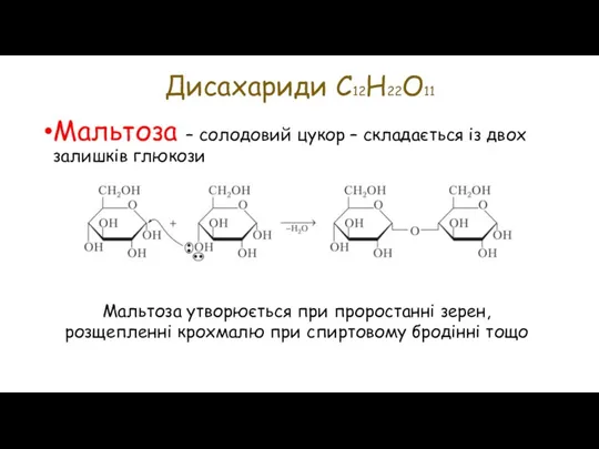 Мальтоза – солодовий цукор – складається із двох залишків глюкози