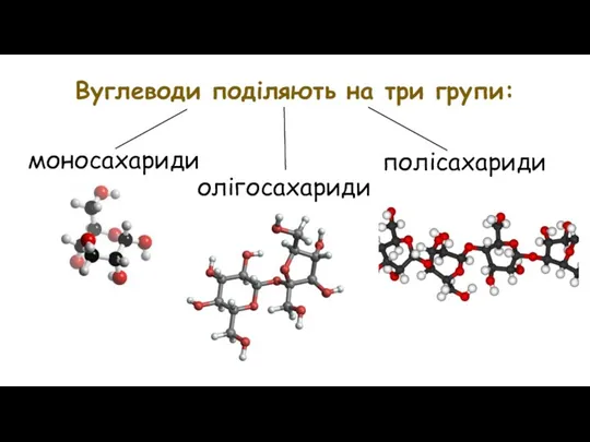 Вуглеводи поділяють на три групи: моносахариди олігосахариди полісахариди