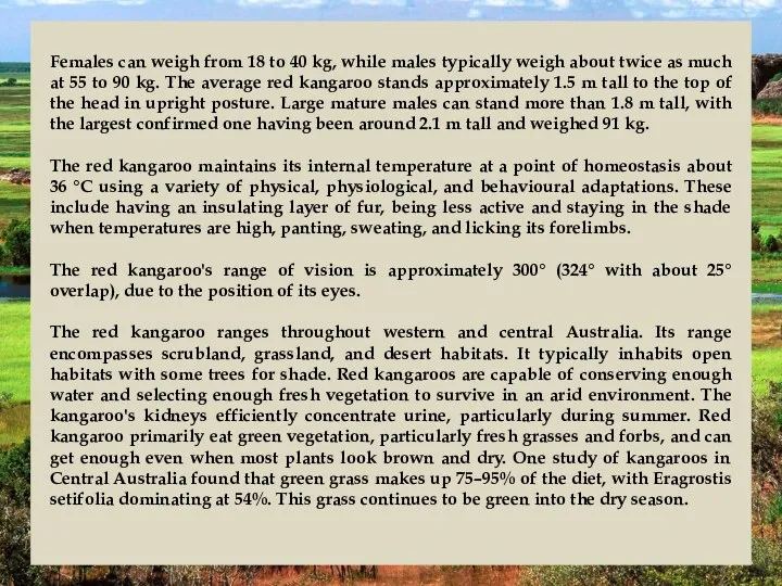 Females can weigh from 18 to 40 kg, while males