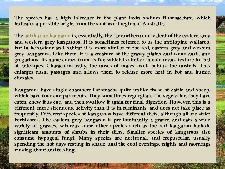 The species has a high tolerance to the plant toxin