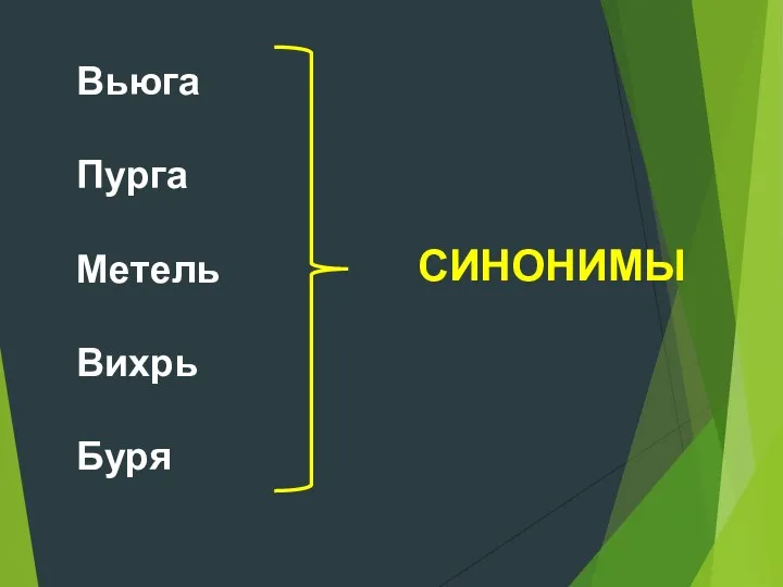 Вьюга Пурга Метель Вихрь Буря СИНОНИМЫ