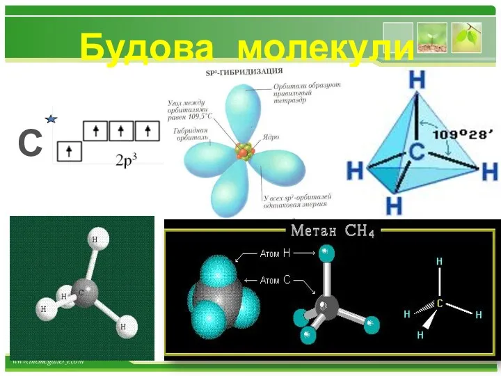 Будова молекули С