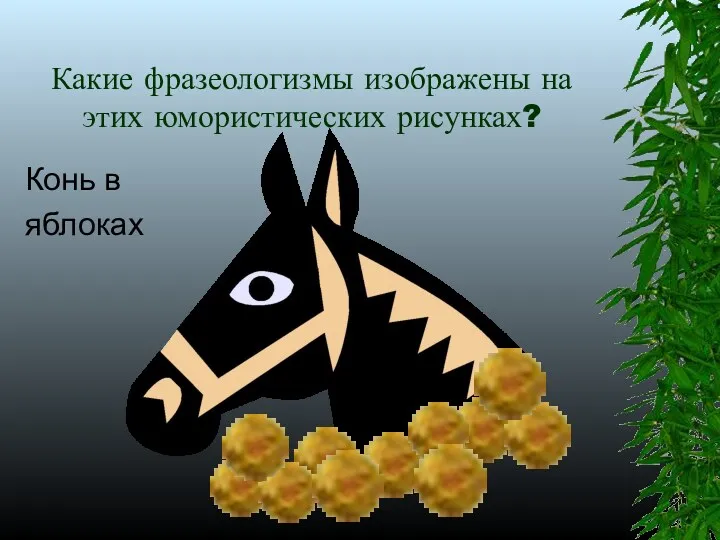 Какие фразеологизмы изображены на этих юмористических рисунках? Конь в яблоках