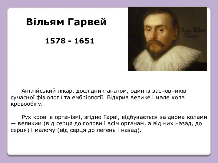 Вільям Гарвей Англійський лікар, дослідник-анатом, один із засновників сучасної фізіології