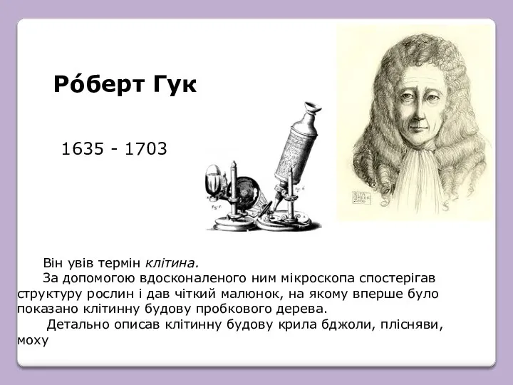 Він увів термін клітина. За допомогою вдосконаленого ним мікроскопа спостерігав